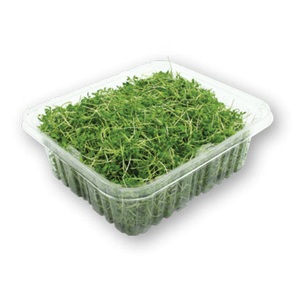 Wholesale Flavour Fields Micro Greens Pepper Cress 4oz- Bulk