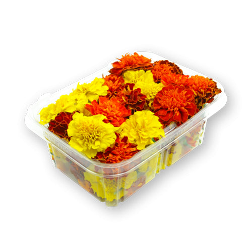 Wholesale Flavour Fields Blossom Marigold Flower- Bulk