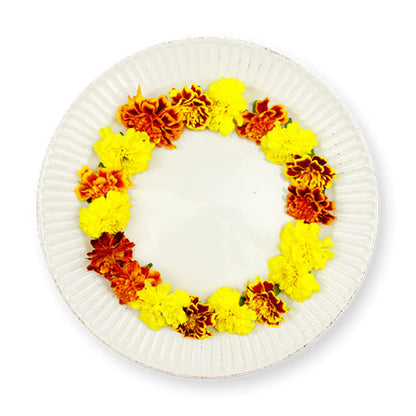 Wholesale Flavour Fields Blossom Marigold Flower- Bulk