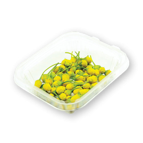 Wholesale Flavour Fields Sechuan Button Blossom- Bulk