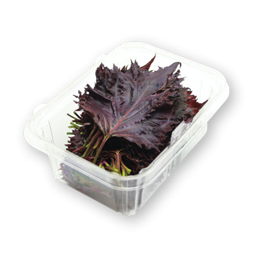 Wholesale Flavour Fields Shiso Purple Leaves- Bulk