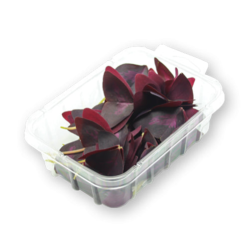 Wholesale Flavour Fields Yka Leaves- Bulk