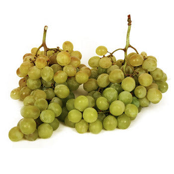 Wholesale Dix Farms Muscato Green Grapes 2lb- Bulk
