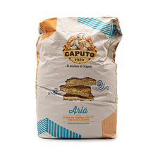 Wholesale Caputo Caputo Aria Type 0 Flour 25kg- Bulk