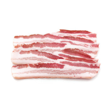 Wholesale North Country Smokehouse 10/12 Applewood Bacon 10lb- Bulk
