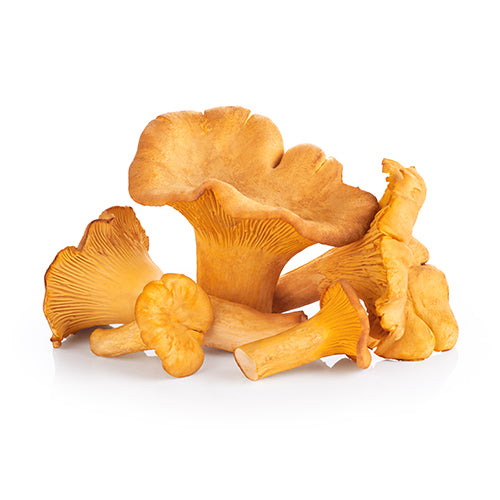 Wholesale Dix Farms Chanterelle Mushroom 3lb- Bulk