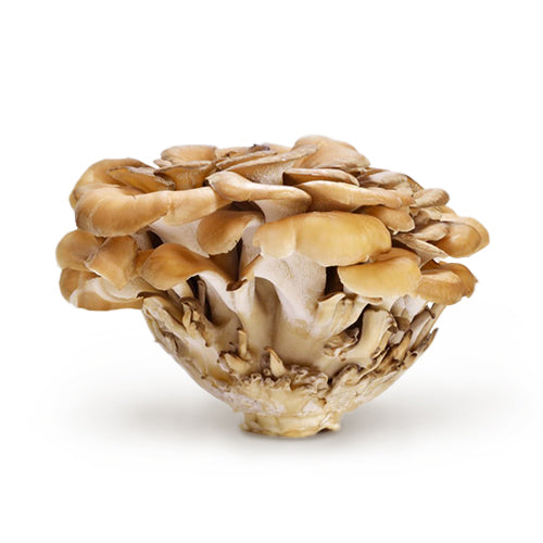 Wholesale Dix Farms Hen of the Woods Mushrooms 3lb- Bulk