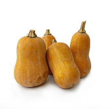 Wholesale Lancaster Farm Fresh Organic Honeynut Squash 15lb- Bulk