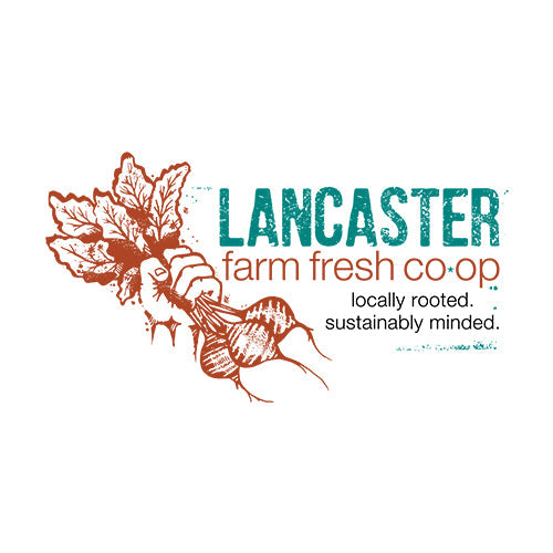 Wholesale Lancaster Farm Fresh Organic Honeynut Squash 15lb- Bulk