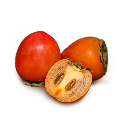 Wholesale Dix Farms Chocolate Persimmon 25lb- Bulk