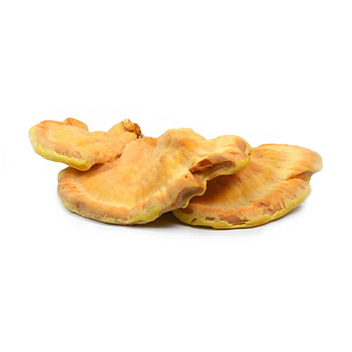 Wholesale Dix Farms Chicken of the Woods Mushrooms 3lb- Bulk