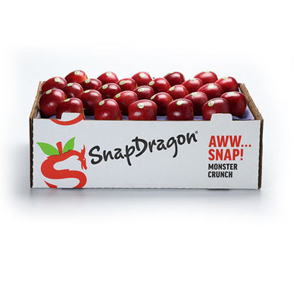 Wholesale Dix Farms Snapdragon Apples- Bulk