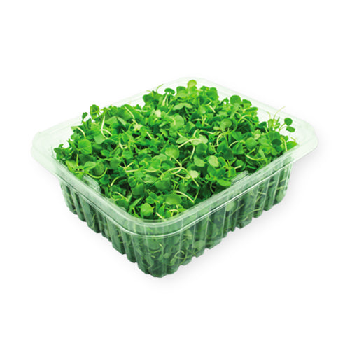 Wholesale Flavour Fields Micro Shiso Green 3oz- Bulk