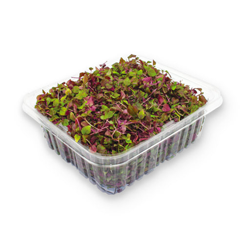 Wholesale Flavour Fields Micro Shiso Purple 3oz- Bulk