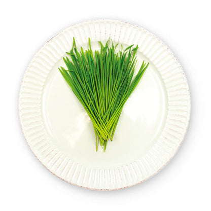 Wholesale Flavour Fields Wheatgrass- Bulk