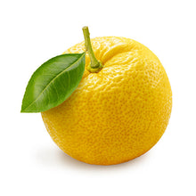 Wholesale Dix Farms Citrus Yuzu 8oz- Bulk