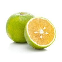 Wholesale Dix Farms Sweet Lime 24oz- Bulk