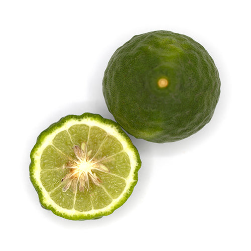 Wholesale Dix Farms Makrut Lime 8oz- Bulk