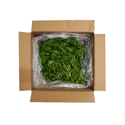Wholesale Gotham Greens Hydro-with-Stem Fresh Herb Basil 2.2lb- Bulk