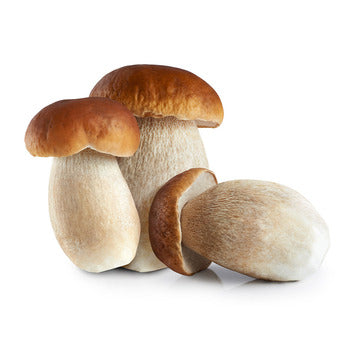 Wholesale Dix Farms Porcini Mushrooms 3lb- Bulk