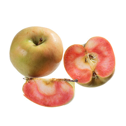 Wholesale Dix Farms Fresh Apple Hidden Rose 2lb- Bulk