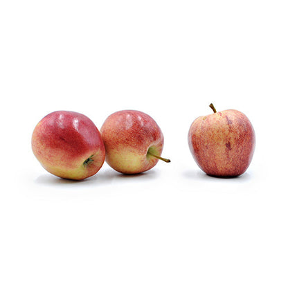 Wholesale Dix Farms Fresh Apple Red, Local- Bulk