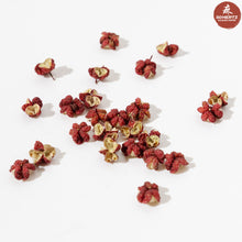 Wholesale 50Hertz Tingly Foods Red Sichuan (Szechuan) Peppercorns 16oz- Bulk