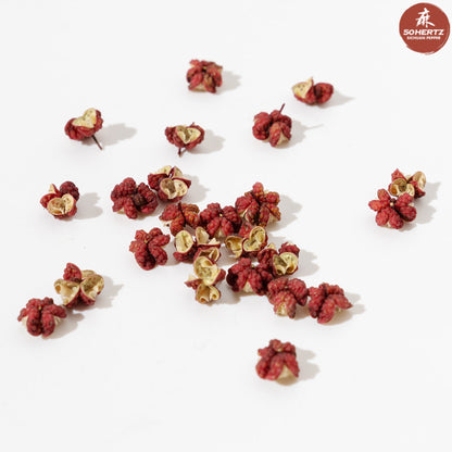 Wholesale 50Hertz Tingly Foods Red Sichuan (Szechuan) Peppercorns 16oz- Bulk