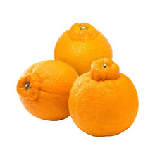 Wholesale Dix Farms Sumo Mandarins- Bulk