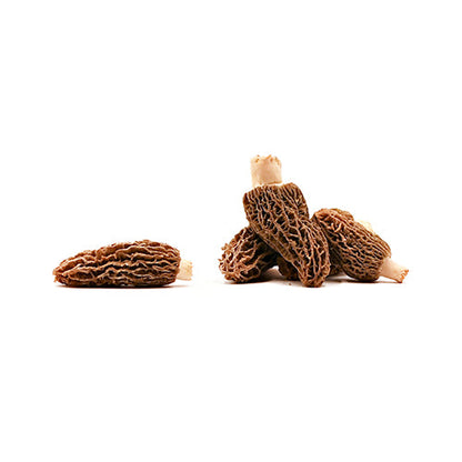 Wholesale Dix Farms Fresh Mushroom Morel 3lb- Bulk