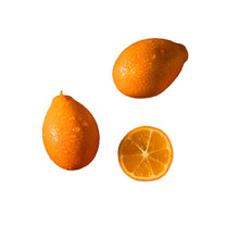 Wholesale Dix Farms Mandarinquat 10lb- Bulk