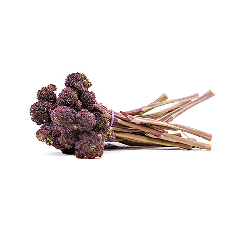 Wholesale Dix Farms Baby Sweet Purple Broccoli- Bulk