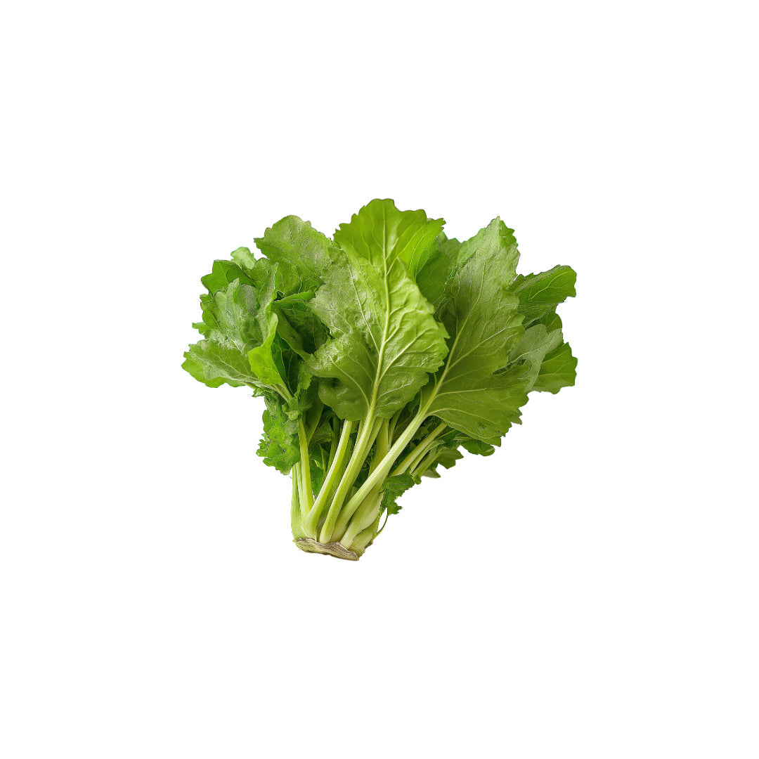 Wholesale BoxNCase Fresh Greens Mustard, Local- Bulk