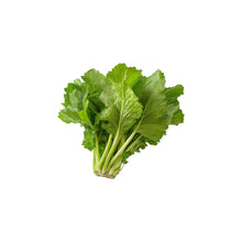 Wholesale BoxNCase Fresh Greens Mustard, Local- Bulk