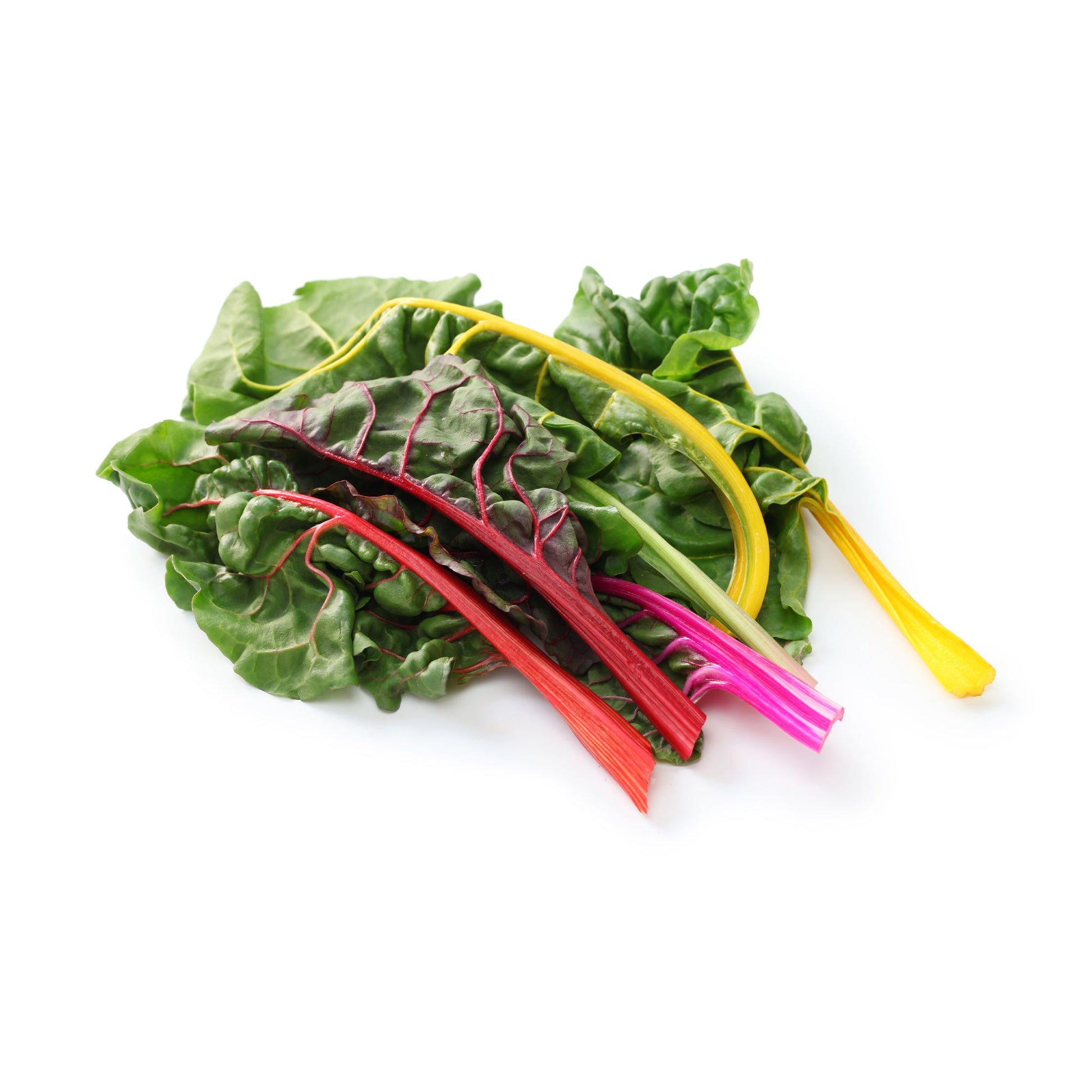 Wholesale Dix Farms Rainbow Swiss Chard Local- Bulk