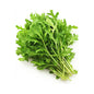 Wholesale Dix Farms Arugula Local Bunched- Bulk