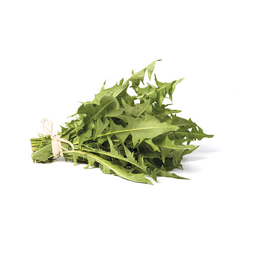 Wholesale Dix Farms Dandelion Greens- Bulk