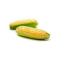Wholesale Dix Farms Sweet Corn- Bulk