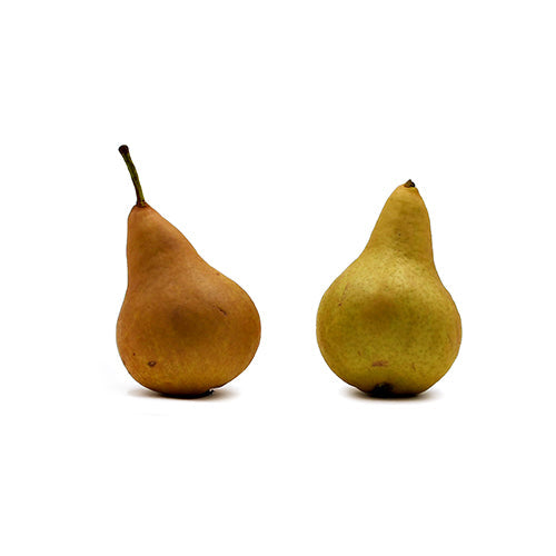 Wholesale Dix Farms Bosc Pears 3lb- Bulk