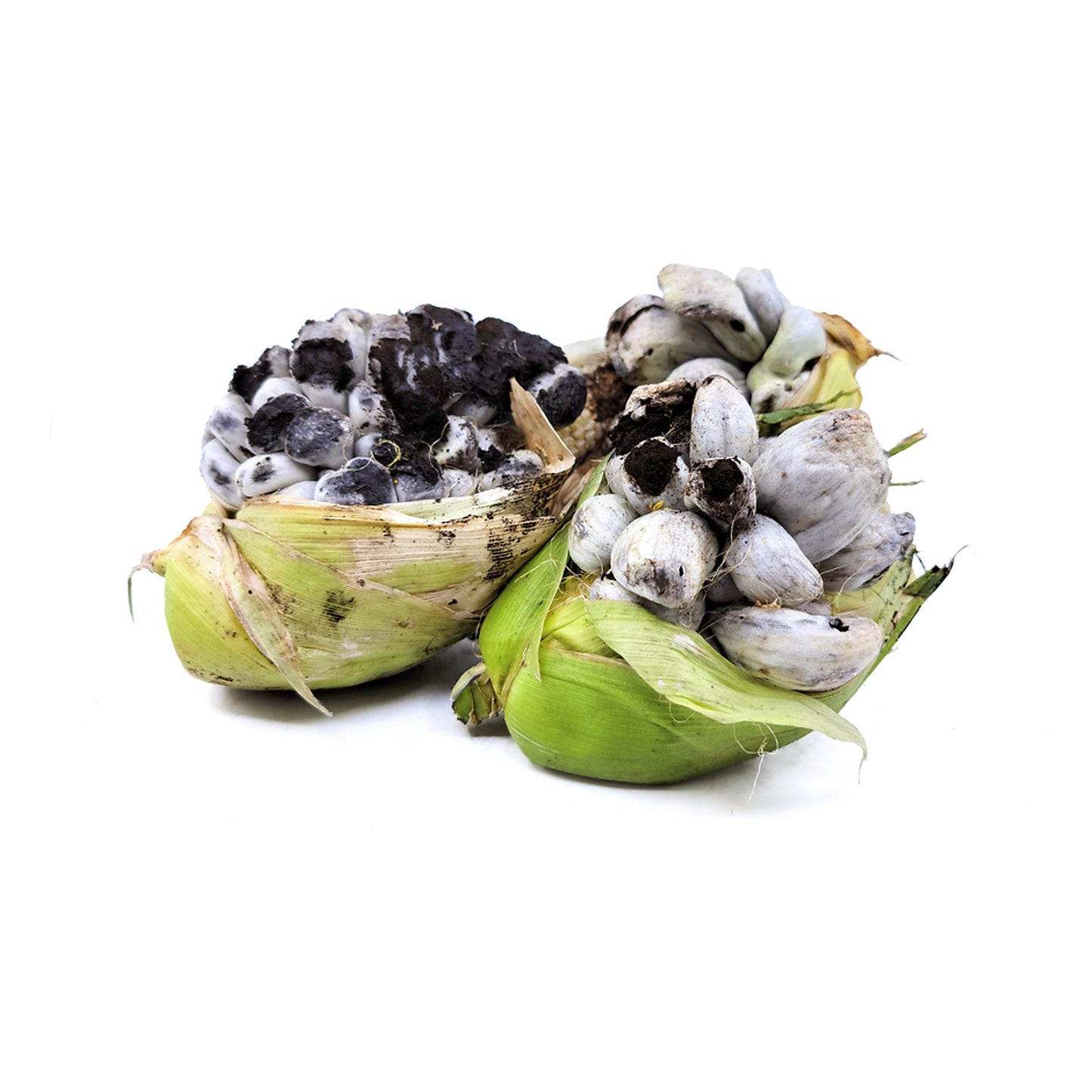 Wholesale Dix Farms Huitlacoche Fresh 5lb- Bulk
