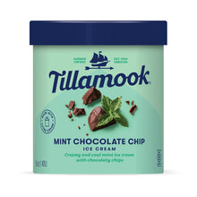 Wholesale Tillamook Mint Chocolate Chip Ice Cream- Bulk