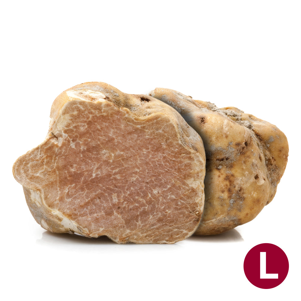 Wholesale BelAria 2 Oz Fresh White Large Truffles 2oz- Bulk