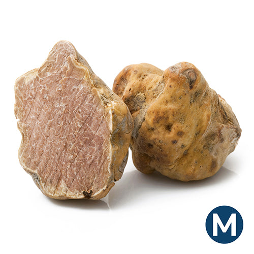 Wholesale BelAria 2 Oz Fresh White Medium Truffles 2oz- Bulk