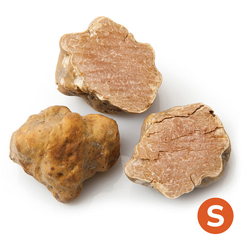 Wholesale BelAria 8 Oz Fresh White Small Truffles 8oz- Bulk