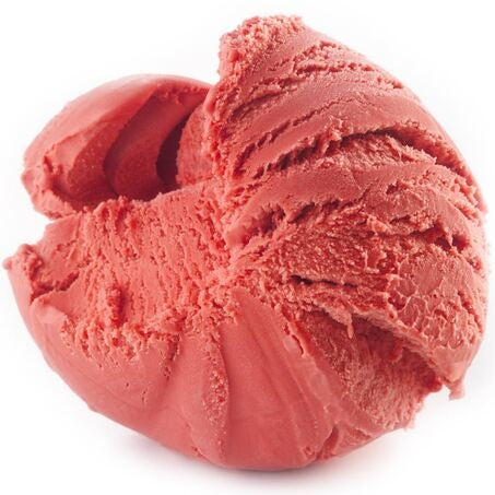 Wholesale Gelarto Case Raspberry Sorbetto- Bulk