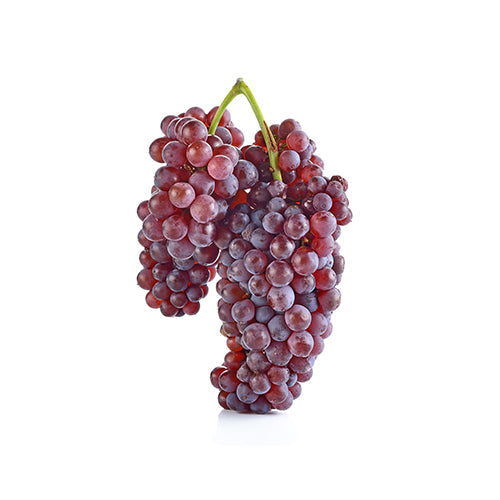 Wholesale Dix Farms Champagne Grapes 1lb- Bulk