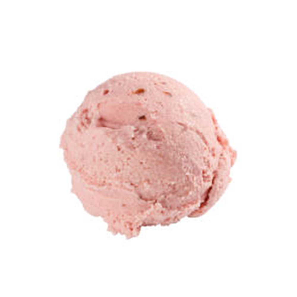 Wholesale Dolce Amore Gelato Red Bean- Bulk