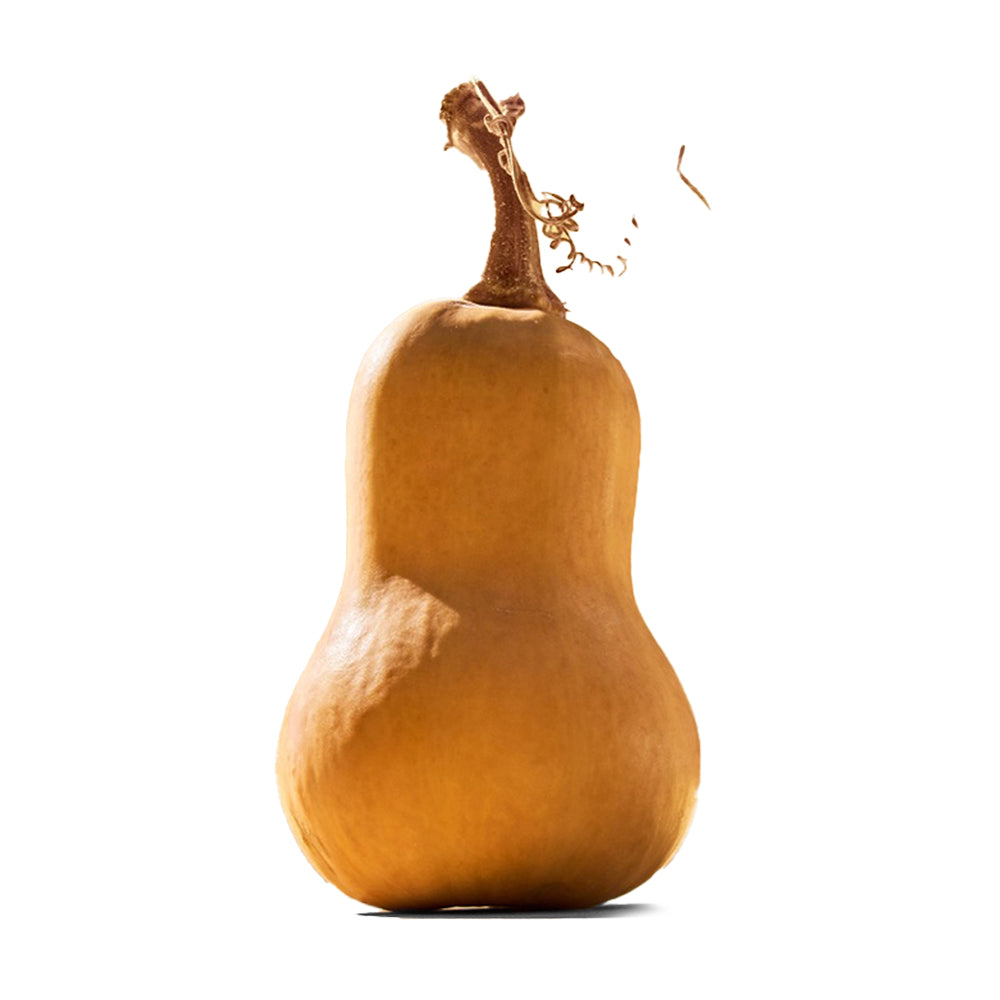Wholesale Row 7 Organic Honeypatch Squash 35lb- Bulk