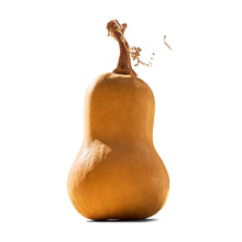 Wholesale Row 7 Organic Honeypatch Squash 35lb- Bulk