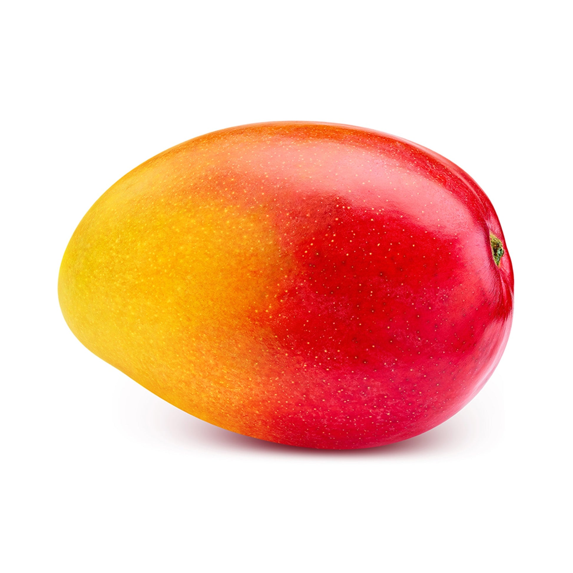 Wholesale Dix Farms Mango Haden 20lb- Bulk